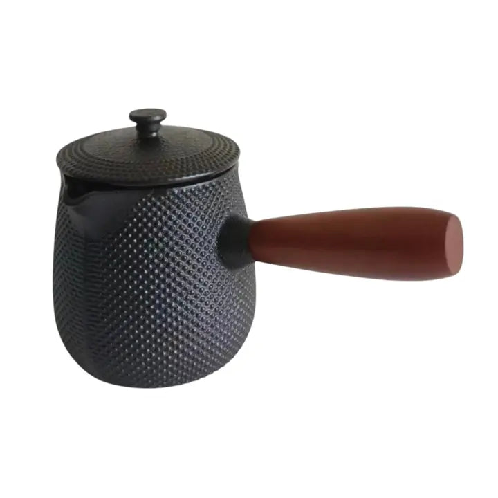 Black 18.5oz Kyusu Cast Iron Tea/Coffee