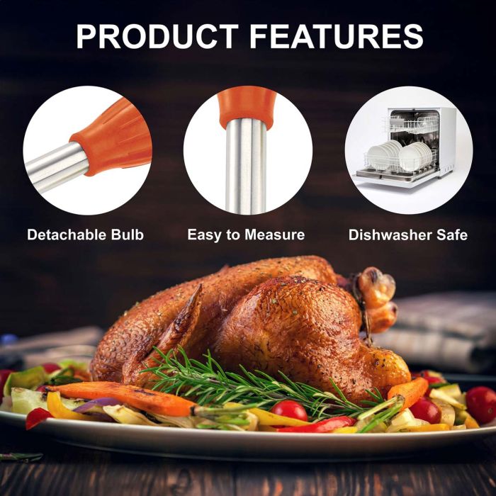 SS Turkey Basting Set