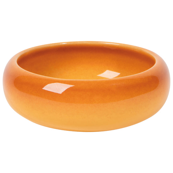 Canyon Opus Dish