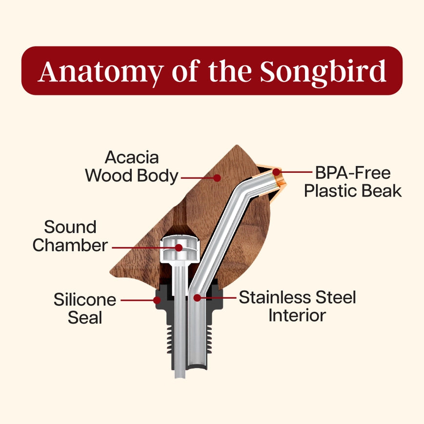 Songbird Wine Bottle Pourer Blue