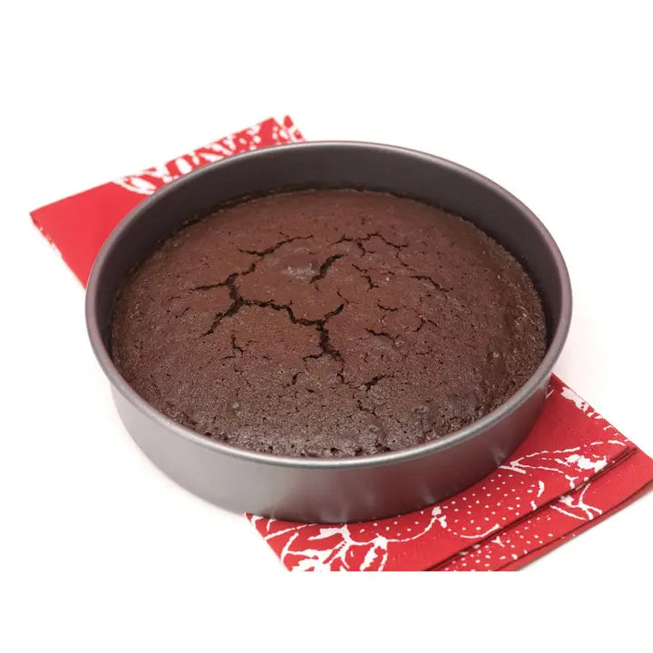Non-Stick 10" Spring Form Pan