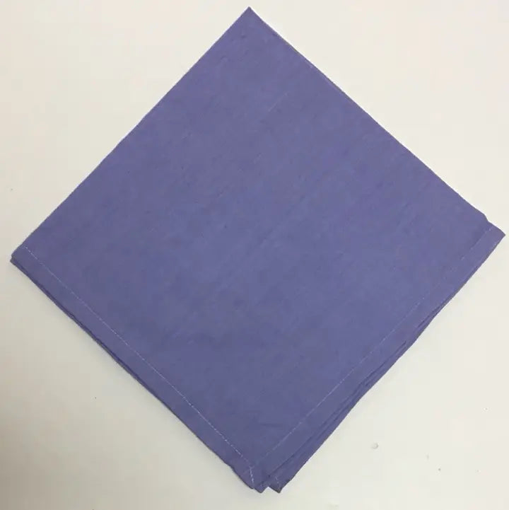 French Blue Solid Woven Homespun Napkin