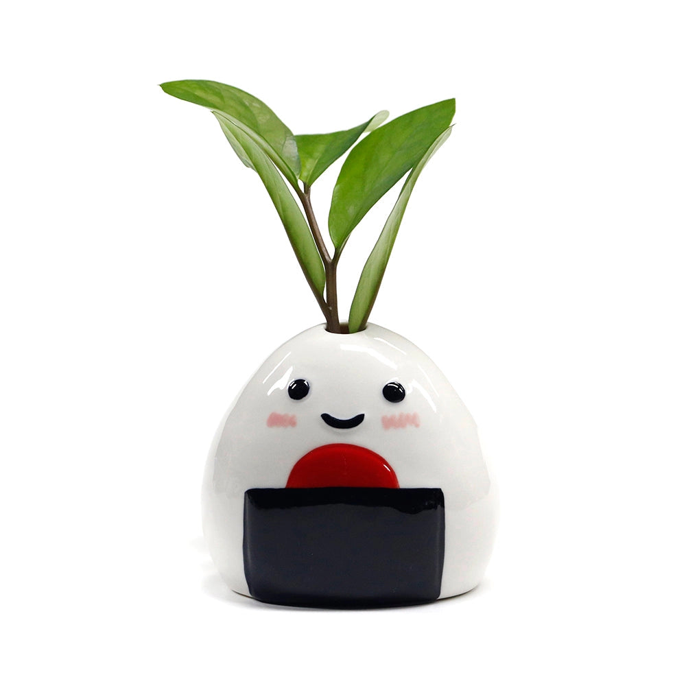 Onigiri Umeboshi 3.5" Mini Vase