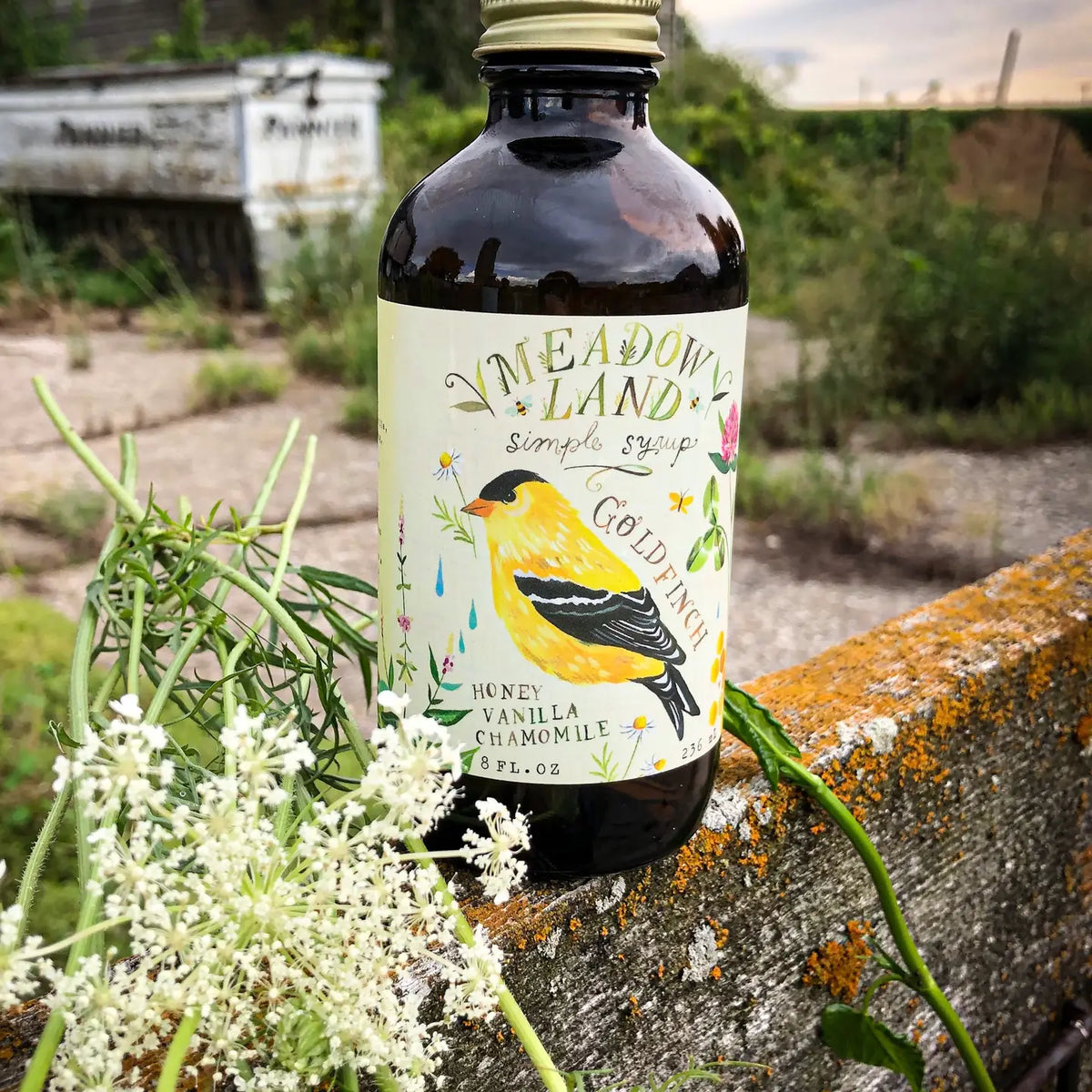 Simple Syrup Goldfinch