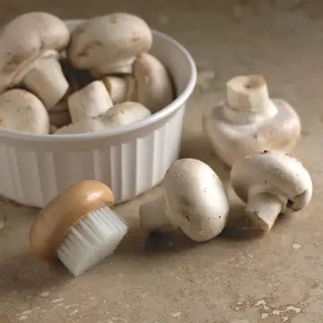 FR Mushroom Brush