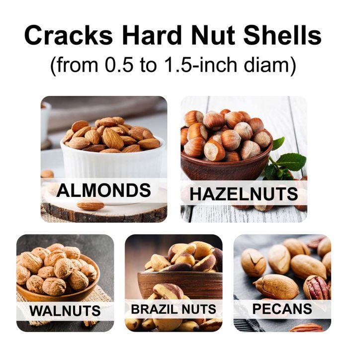 Squirrel Nut Cracker