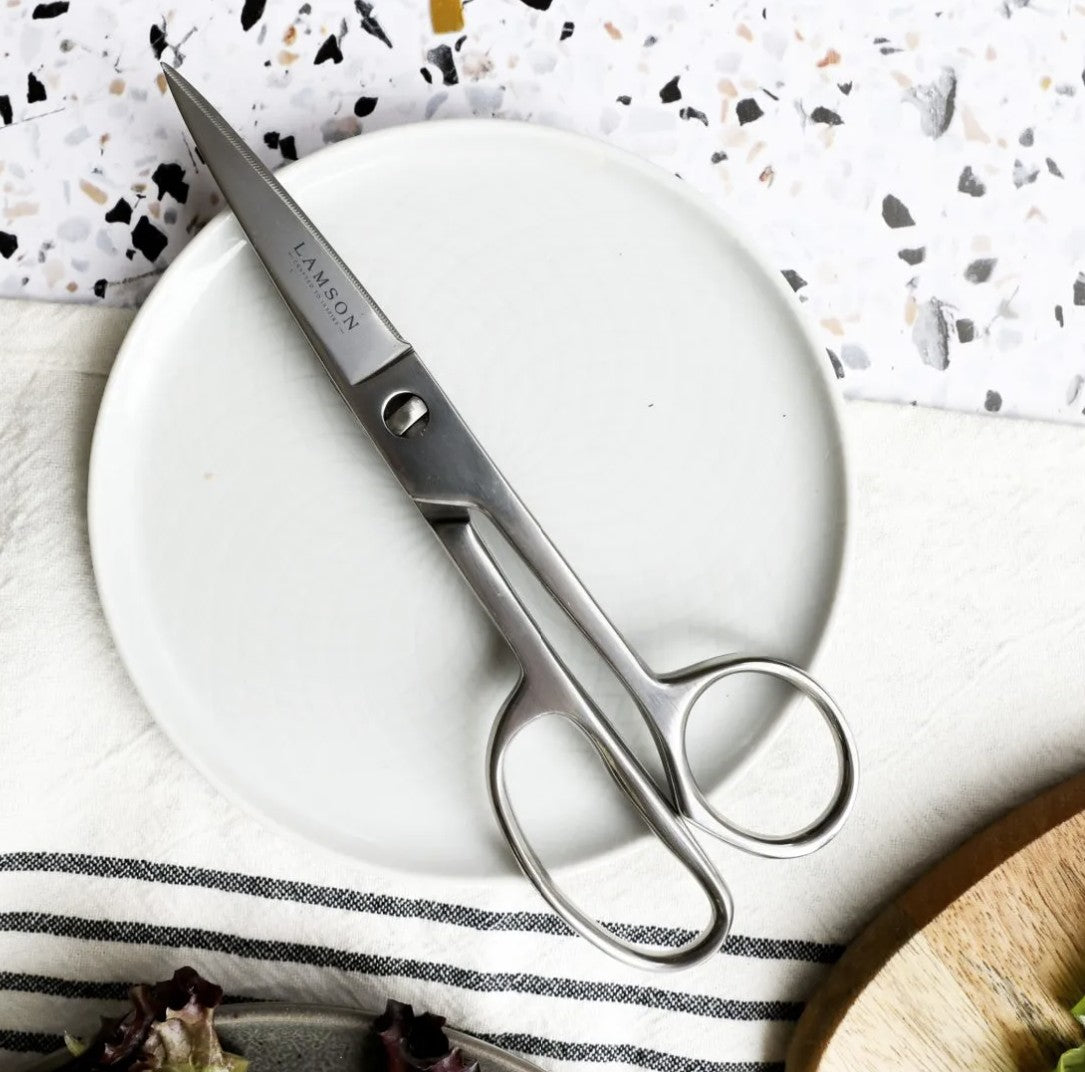 Forged Take-Apart Kitchen Shears