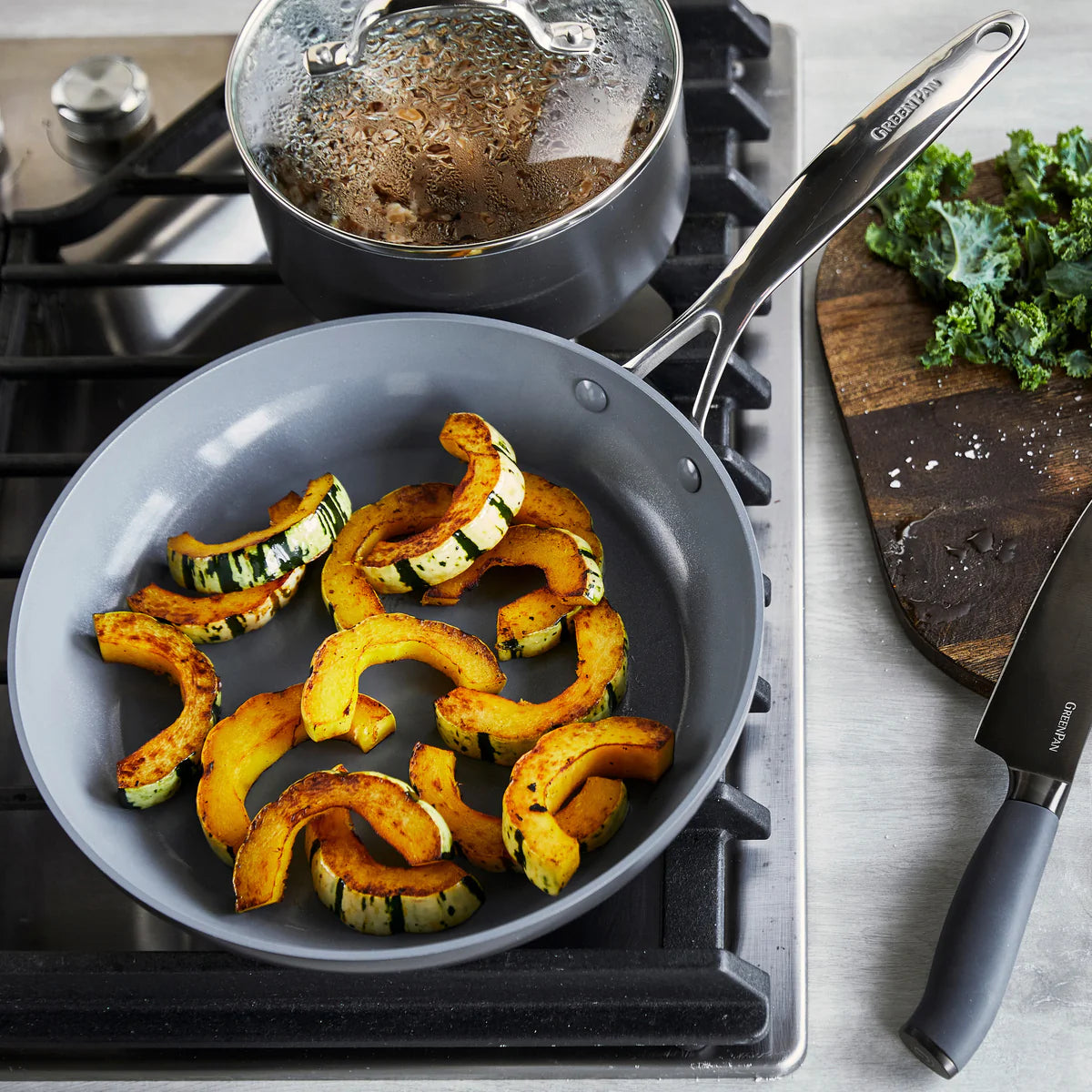 Hard Anodized Gray 11 Piece Set Valencia Pro Pans