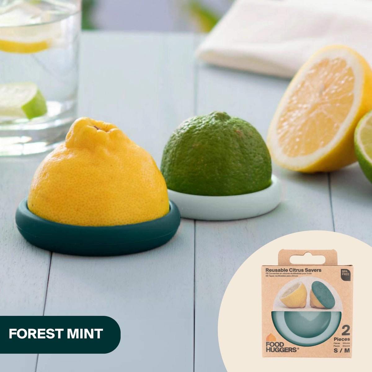 Citrus Huggers Forest Mint S/2