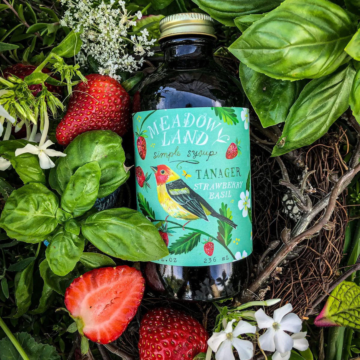 Simple Syrup Tanager