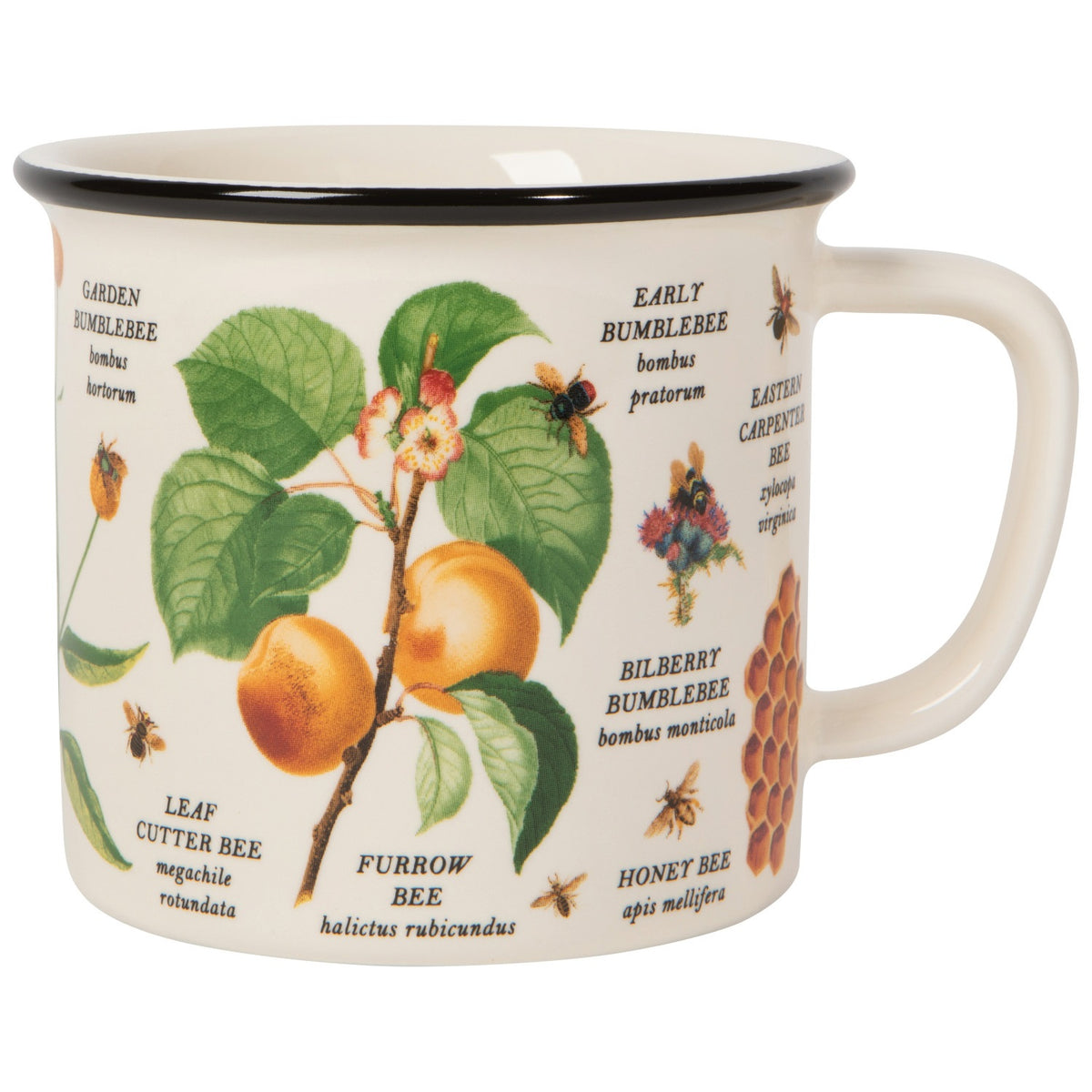 Bee Varieties 12oz Mug