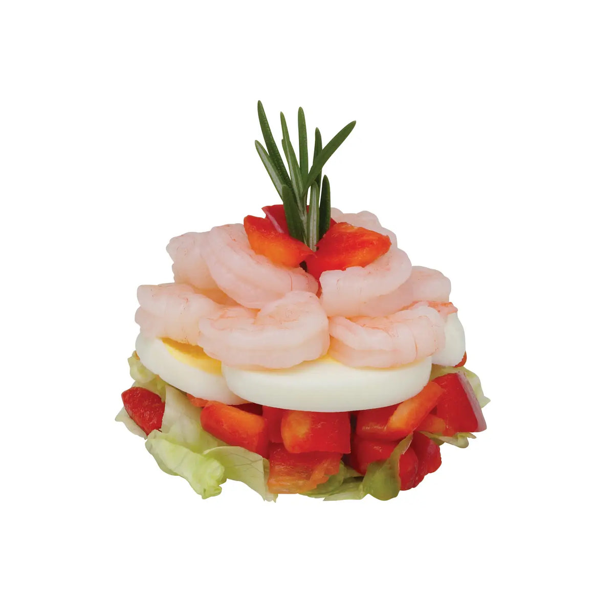 Adjustable Food Ring, Catcora