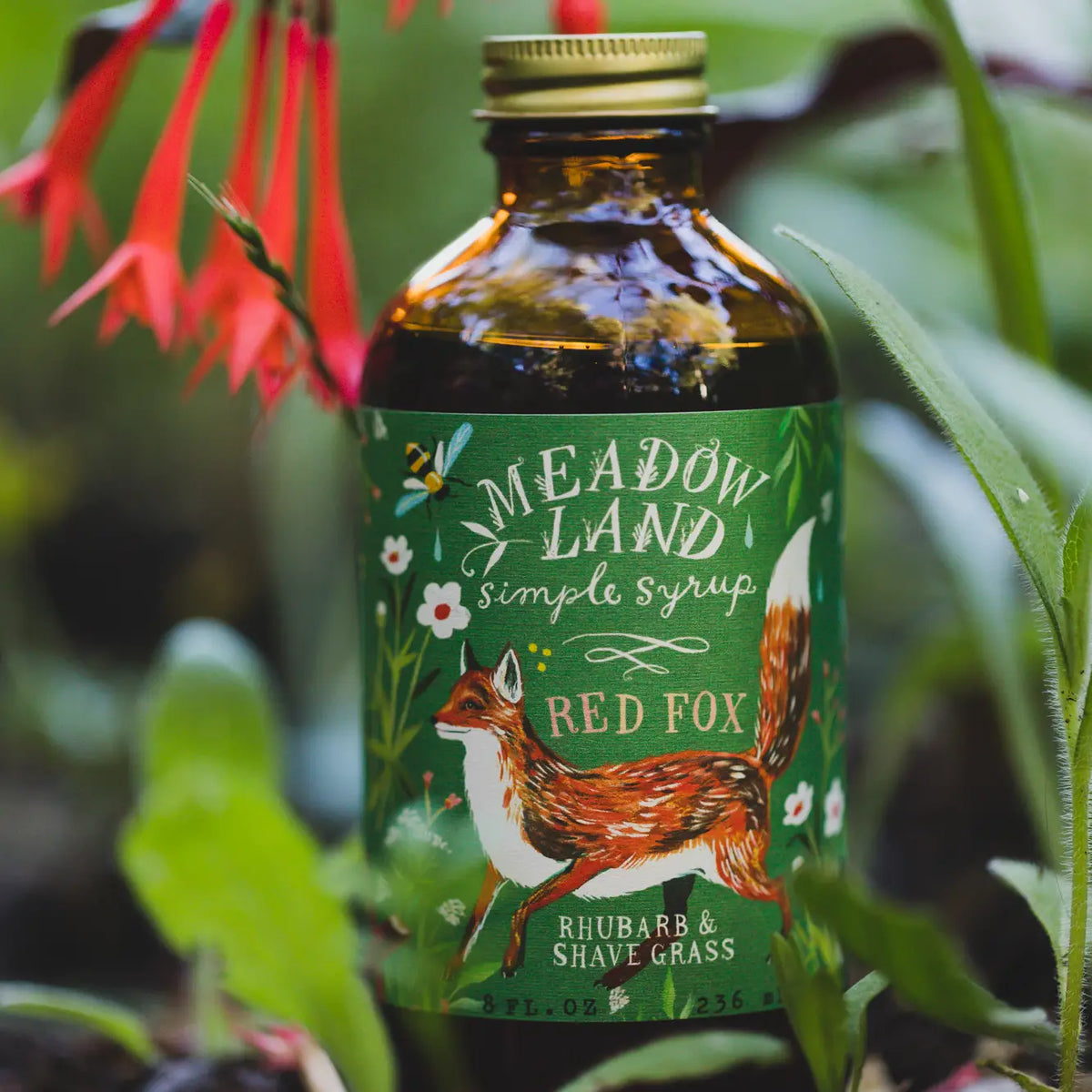 Simple Syrup Red Fox