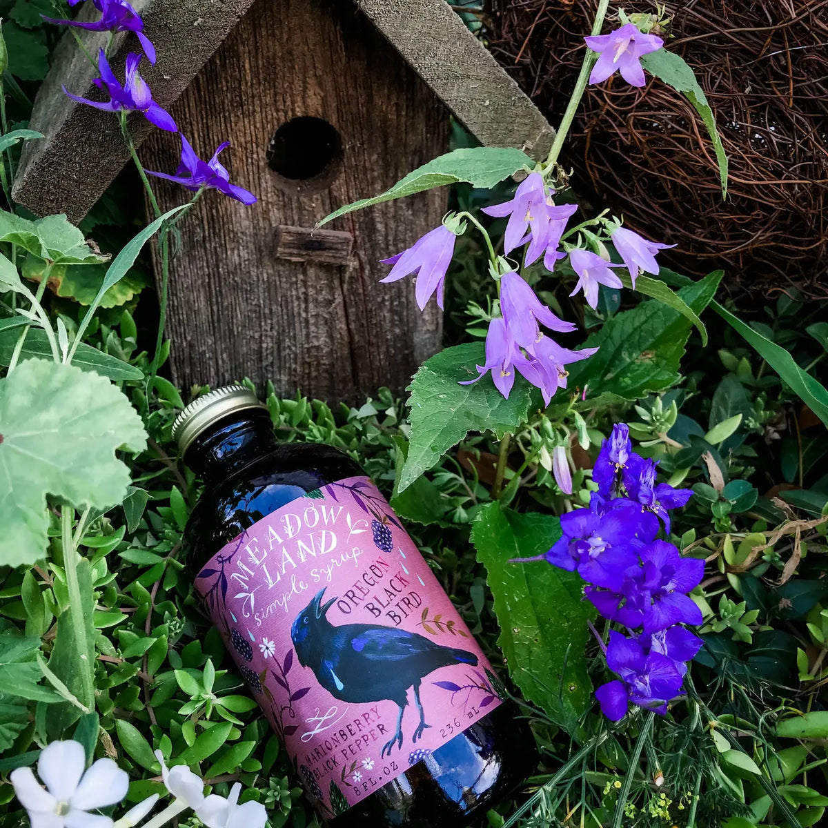 Simple Syrup Oregon Black Bird