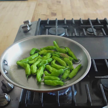 Titanium 12" Fry Pan