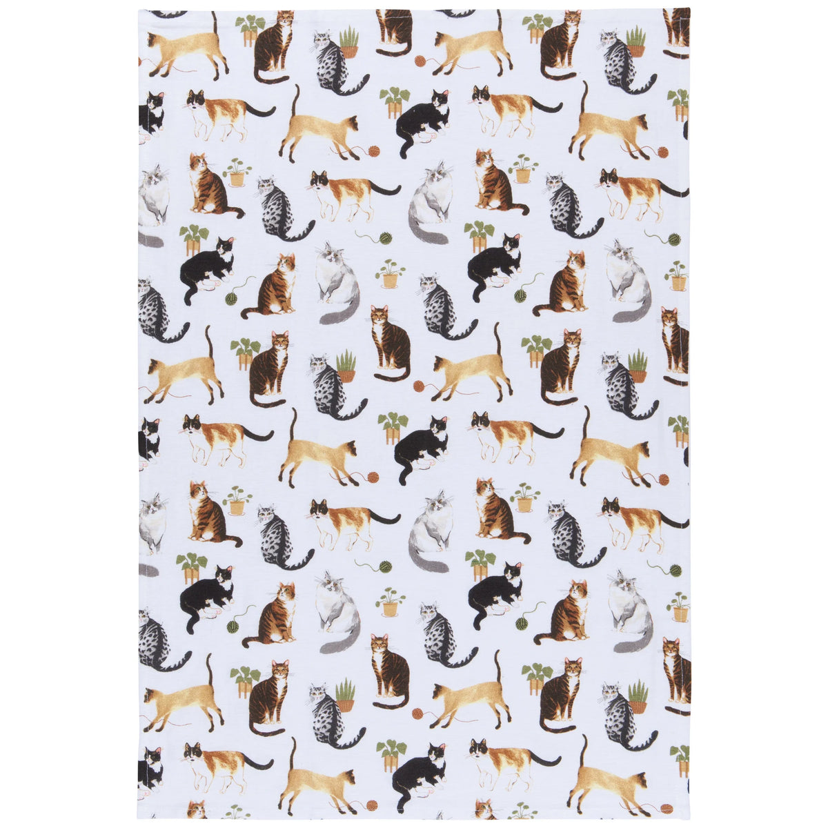 S/3 Floursack Cat Collective